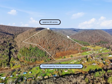 89 Sizer Run Rd, Emporium, PA 15834 - photo 4