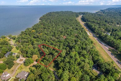 TBD Lake Oaks Cir unit 79-80, Coldspring, TX 77331 - photo 3