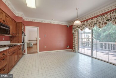 5149 Yuma St NW, Washington, DC 20016 - photo 6