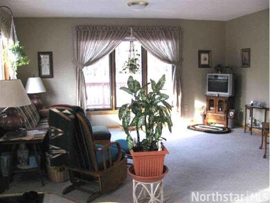 509 Grove Ave N, Park Rapids, MN 56470 - photo 6