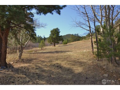 Looking up the driveway