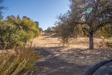 0 Eaglemere Ln, Friant, CA 93626 - photo 3