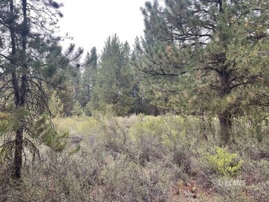 0 Oregon 140, Klamath Falls, OR 97601 - photo 5