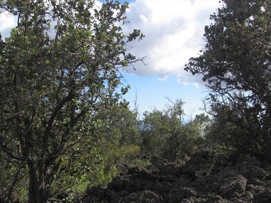 Undozed wooded front part of lot.