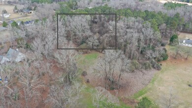 Lot 15 Robbie L15 Dr, Byron, GA 31008 - photo 7
