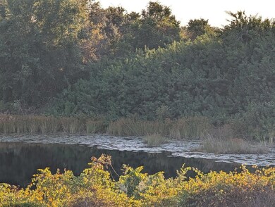 4381 Alcoma Rd, Lake Wales, FL 33898 - photo 6