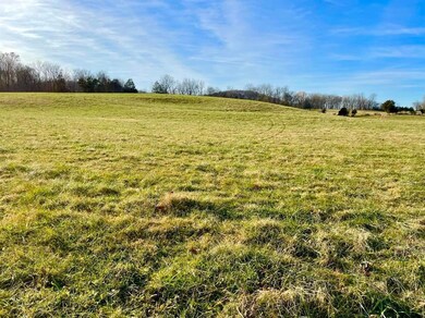 231 Highway 1003, Somerset, KY 42501 - photo 3