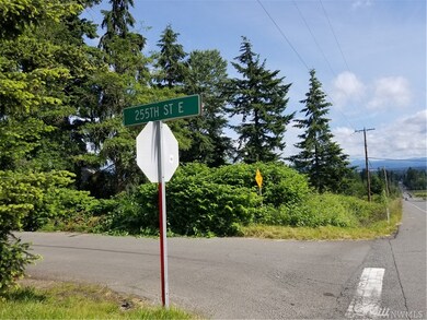 10202 255th St E, Graham, WA 98338 - photo 3