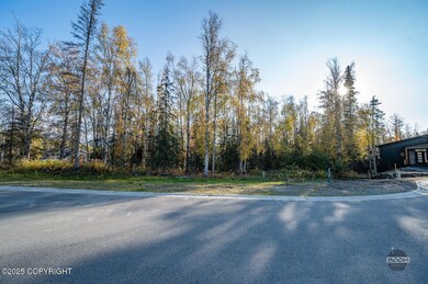 3-web-or-mls-Kinship Ln Lot Photos-2