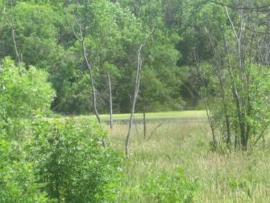 2425 W Happy Hollow Rd, Janesville, WI 53546 - photo 2