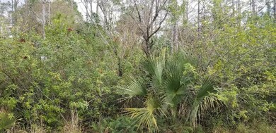 393 Walsh Cir, Other City - In the State of Florida, FL 33972 - photo 2