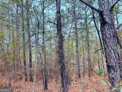 0 Jw Miller Rd unit 10655806, Reynolds, GA 31076 - photo 2