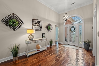 Foyer entrance with dark wood-style floors, a towe