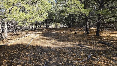 126 Cedar Ridge Rd, Mosca, CO 81146 - photo 5