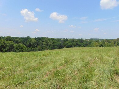 1 Riley-Gravel Switch Rd, Gravel Switch, KY 40328 - photo 4