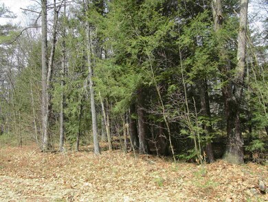 00 Blueberry Ln, Andover, NH 03216 - photo 5