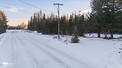 1208 Kaknu Way, Kenai, AK 99611 - photo 7