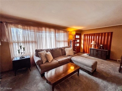 872 Yankee Run Rd, Masury, OH 44438 - photo 4