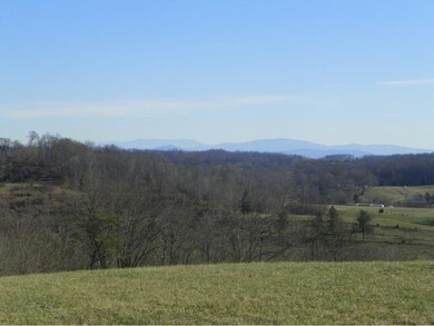 TBD Old Baxter Rd, Fall Branch, TN 37656 - photo 6
