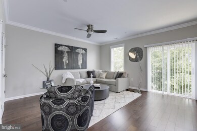 420 Woodcrest Dr SE unit A, Washington, DC 20032 - photo 4