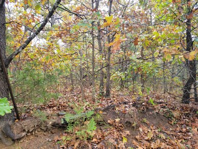 000 97, Stockton, MO 65785 - photo 3