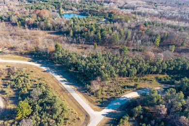 11210 Killarney Dr, Canadian Lakes, MI 49346 - photo 4