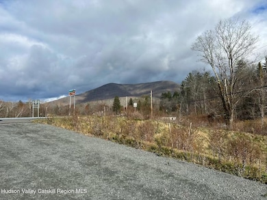 5485 New York 212, Shandaken, NY 12480 - photo 4