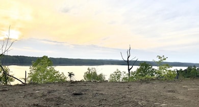 0 Tranquility Trail unit 20325655, Dandridge, TN 37725 - photo 6