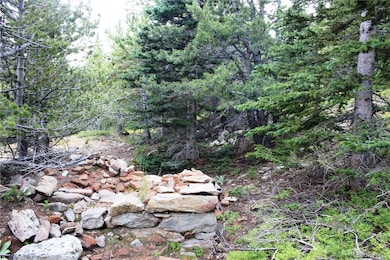 00 Fs-411 1, Black Hawk, CO 80422 - photo 2