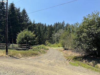 0 Coast Creek Rd, Willamina, OR 97396 - photo 2