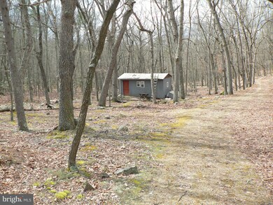 37 ACS Greenwalt Gap, Upper Tract, WV 26866 - photo 7