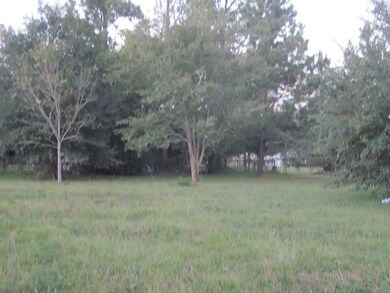 73 Fulton Dr, Alvin, TX 77511 - photo 4