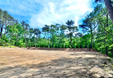 6 Majors Cove Ln, Edgartown, MA 02539 - photo 2