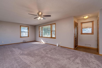 340 2nd Ave S, Amboy, MN 56010 - photo 4