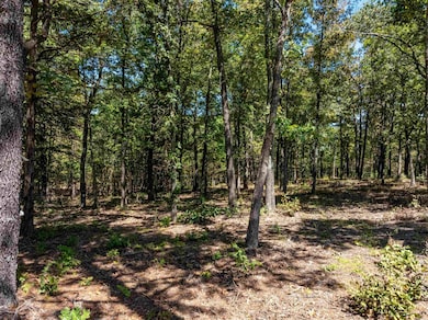 0 Silver Springs Rd unit 25040549, Evening Shade, AR 72532 - photo 5