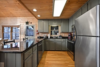 313 Spruce Cir, Mineral Bluff, GA 30559 - photo 4