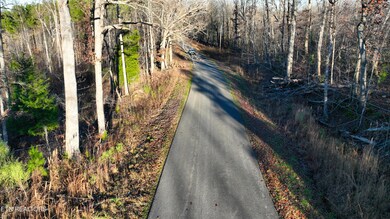 0 Mouse Tail Rd unit 1323770, Parsons, TN 38363 - photo 6