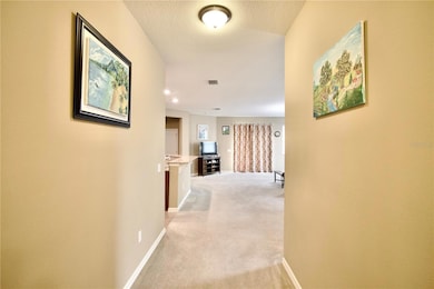 12343 Moss Lake Loop, New Port Richey, FL 34655 - photo 7