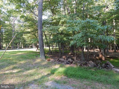103A Sideling Mountain Trail, Great Cacapon, WV 25422 - photo 2