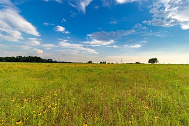 TBD Ray Ln, Millsap, TX 76066 - photo 3