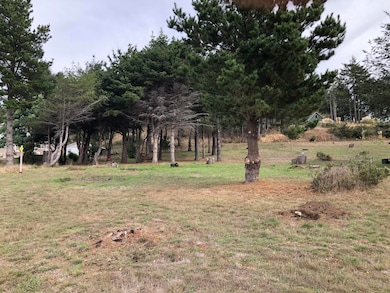 93 Dolphin Dr, Whitethorn, CA 95589 - photo 3