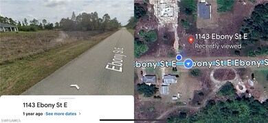 1143 Ebony St E, Lehigh Acres, FL 33974 - photo 5