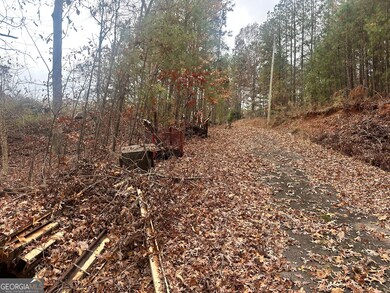 4947 Cash Rd, Flowery Branch, GA 30542 - photo 6