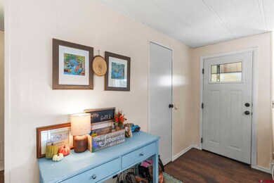 41 Moss Road Trail, Durango, CO 81303 - photo 7