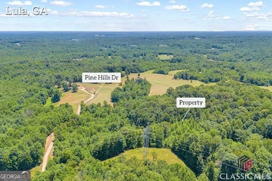 0 Pinehills Dr unit CM1027510, Lula, GA 30554 - photo 6