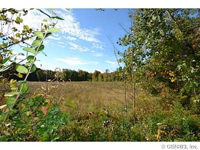 Land/Lot Facing southwest