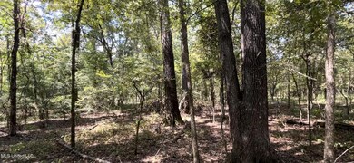 IMG_9258