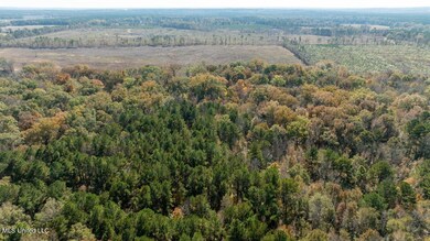 09-Closer Mid Facing South