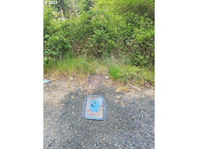 0 Willis Creek Rd unit 23389927, Winston, OR 97496 - photo 7