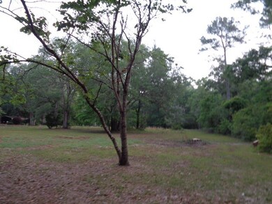 92 Mill Creek Rd, Crawfordville, FL 32327 - photo 4